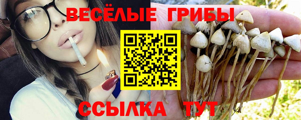 Галлюциногенные грибы MAGIC MUSHROOMS  Вход с VPN  Галлюциногенные грибы прущие грибы  Клин 